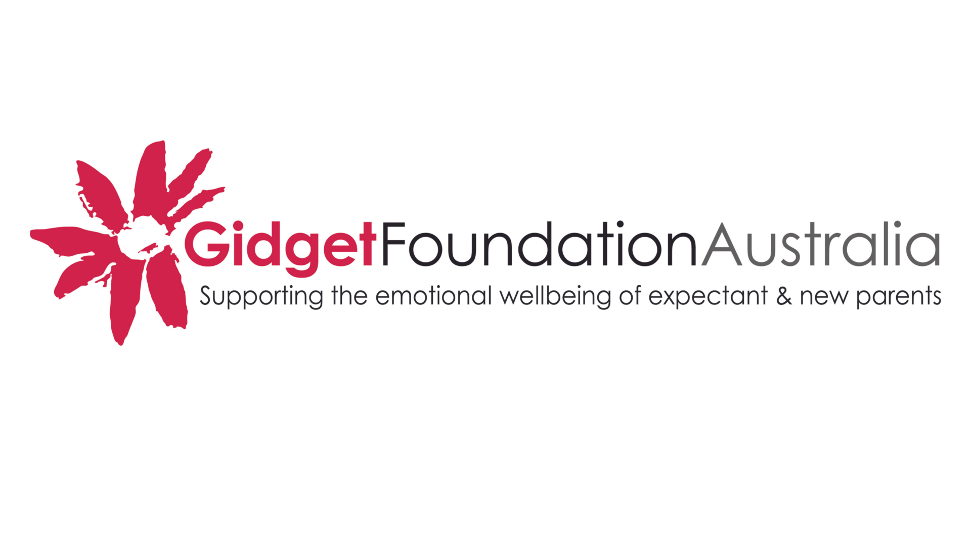 Gidget Foundation